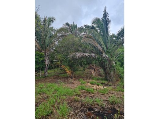 ﻣﻨﺰﻝ ﺭﻳﻔﻲ/ ﺑﻴﺖ ﻤﺰﺭﻋﺔ ﻓﻲ Santa Cruz, Provincia de Guanacaste