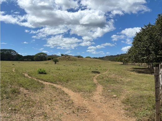 Terreno en Carrillo, Hojancha