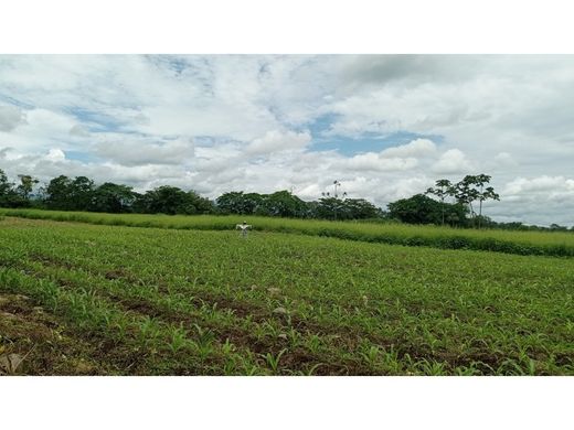 Land in Guápiles, Pococí