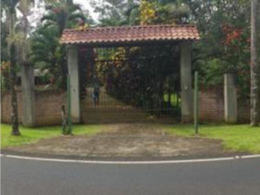 San Ramón, Provincia de Alajuelaの高級住宅