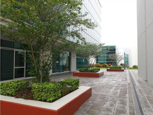 사무실 / Santa Ana, Provincia de San José