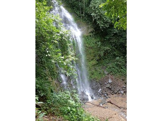 Terreno en Uvita, Osa