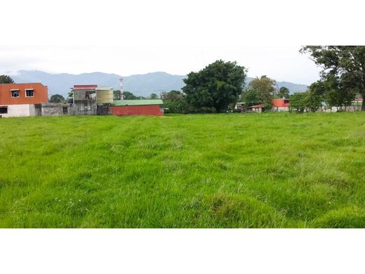 ‏קרקע ב  San Rafael, Carrillo