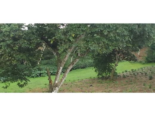 Boerderij in Naranjo, Provincia de Alajuela