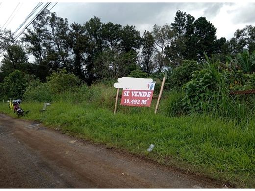 Rustykalny lub Wiejski w Alajuela, Cantón de Alajuela