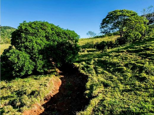 Grundstück in Sámara, Nicoya