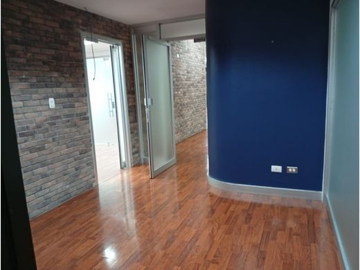 Ofis San José, Cantón de San José