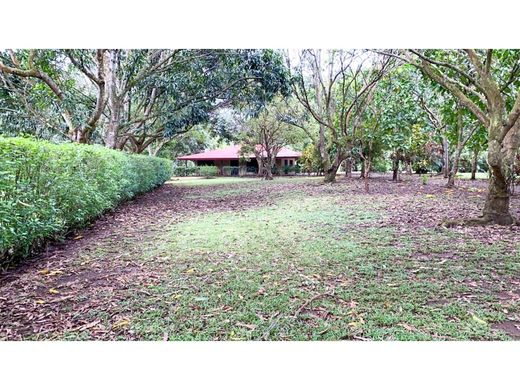 Grond in Orotina, Provincia de Alajuela