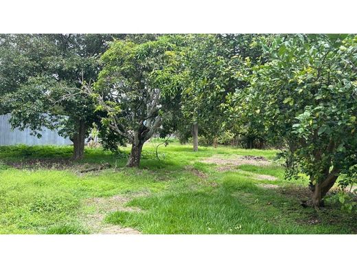 Grond in San Vicente de Moravia, Moravia