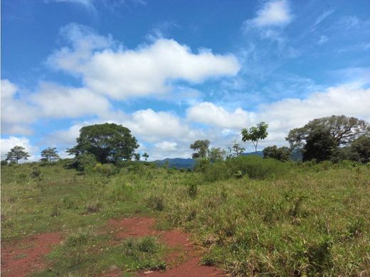 Land in Cóbano, Cantón de Puntarenas