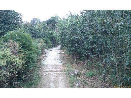 Land in San José, Cantón de San José