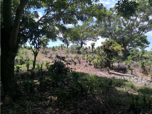 Land in Daniel Flores, Pérez Zeledón