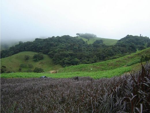 Cortijo o casa de campo en San Ramón, Provincia de Alajuela