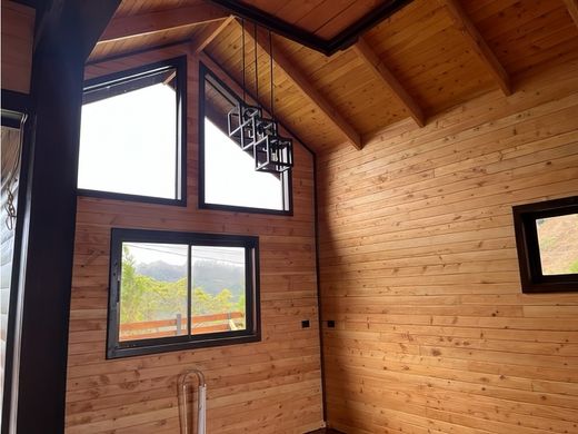 Daire San Gerardo de Dota, Dota