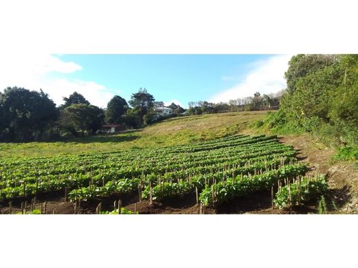 Grundstück in San Josecito, San Isidro