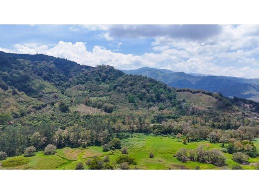 Rustico o casale a Orosi, Paraíso