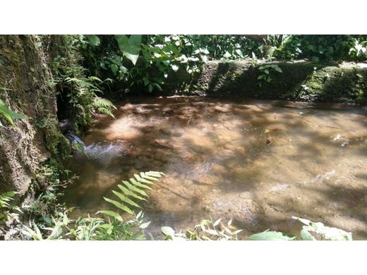 전원/농가 / Santa Ana, Provincia de San José