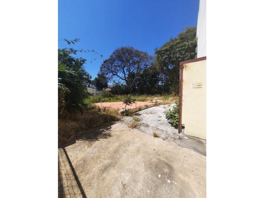 Arsa Mata de Palo, Cantón de San José