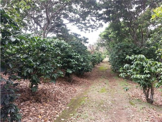 Land in Santo Domingo, Provincia de Heredia