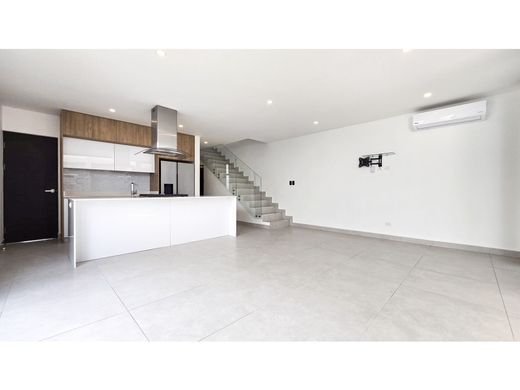 Maison de luxe à Santa Ana, Provincia de San José