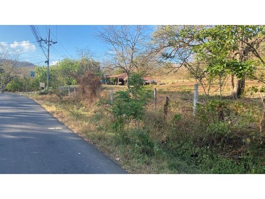 Boerderij in La Cruz, Acosta