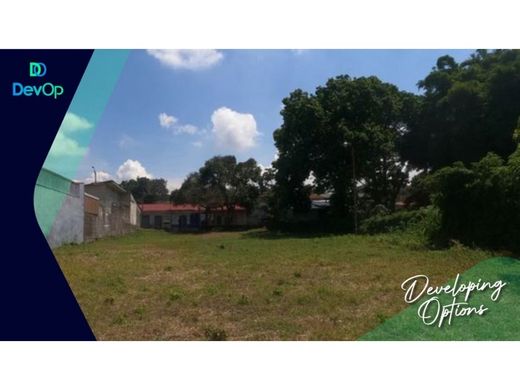Teren w Alajuela, Cantón de Alajuela