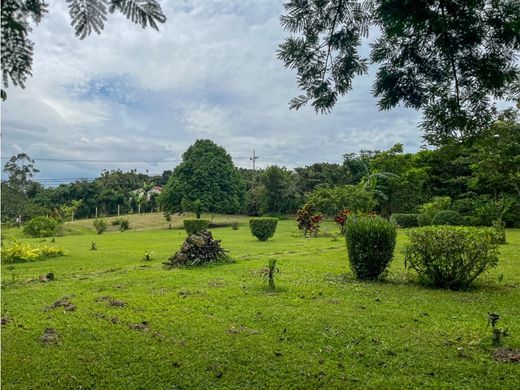 Rustik ya da çiftlik San Ramón, Provincia de Alajuela