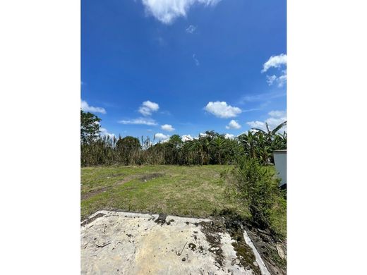 村舍/农舍  Alajuela, Cantón de Alajuela