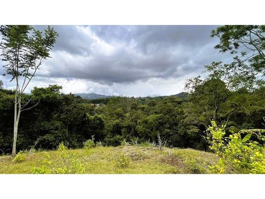 Gutshaus oder Landhaus in Naranjo, Provincia de Alajuela
