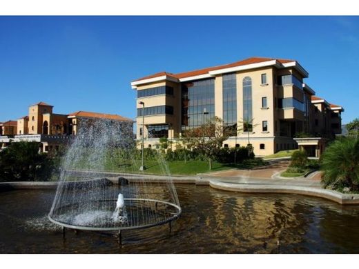 Office in Santa Ana, Provincia de San José