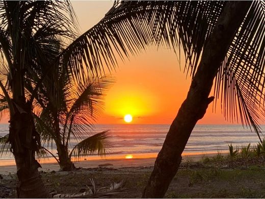Cóbano, Cantón de Puntarenasの土地