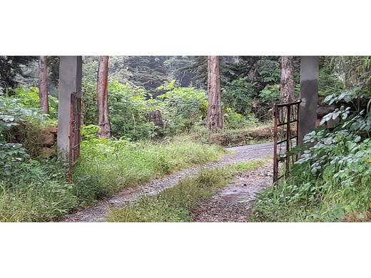 Cortijo o casa de campo en San Gerardo de Dota, Dota