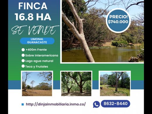 Boerderij in Dos de Abangares, Abangares