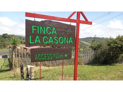 Rustik ya da çiftlik San Ramón, Provincia de Alajuela