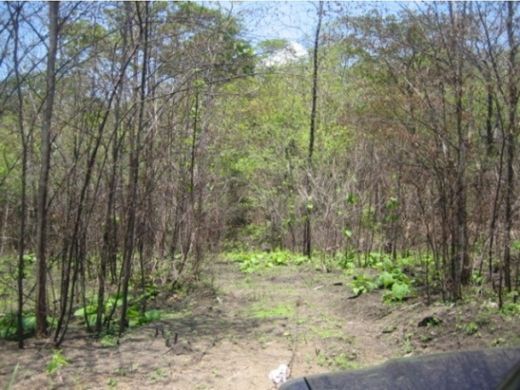 Teren w Puntarenas, Cantón de Puntarenas