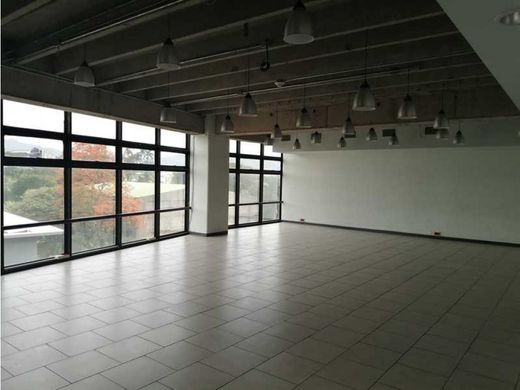 办公室  聖荷西, Cantón de San José