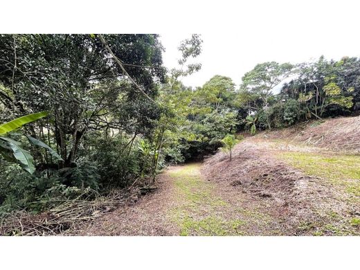 Rustik ya da çiftlik Naranjo, Provincia de Alajuela