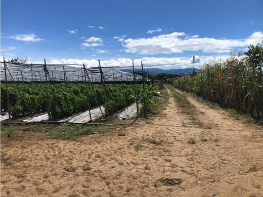 Terreno a Echeverría, Flores