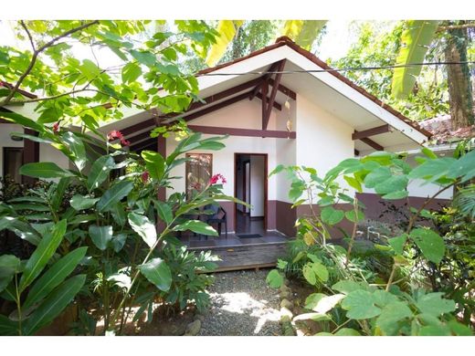 Talamanca, Provincia de Limónのホテル