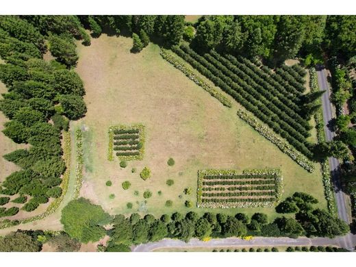 Land in Grecia, Provincia de Alajuela