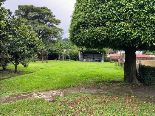 토지 / Santa Ana, Provincia de San José