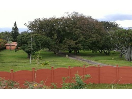 Boerderij in Alajuela, Provincia de Alajuela