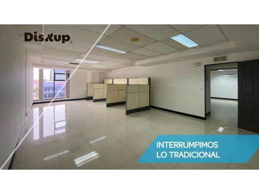 사무실 / San Pedro, Montes de Oca