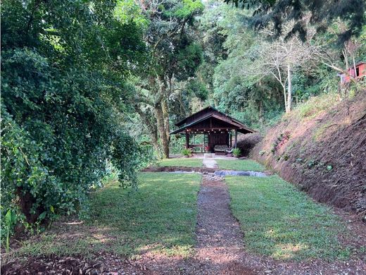 Усадьба / Сельский дом, Poás, Provincia de Alajuela