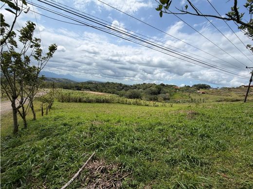 Grundstück in Quesada, San Carlos