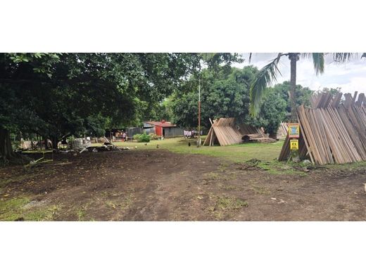 토지 / Río Segundo, Cantón de Alajuela