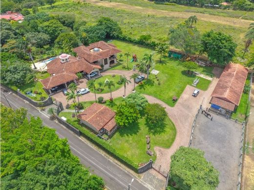 Gospodarstwo w Guácima, Cantón de Alajuela