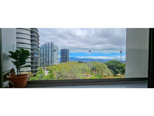 Apartment in San José, Cantón de San José
