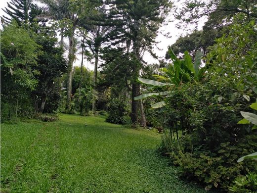 Luxury home in San Josecito, San Isidro