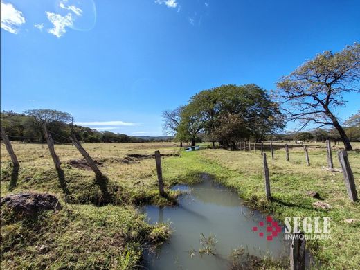 Boerderij in Bagaces, Provincia de Guanacaste